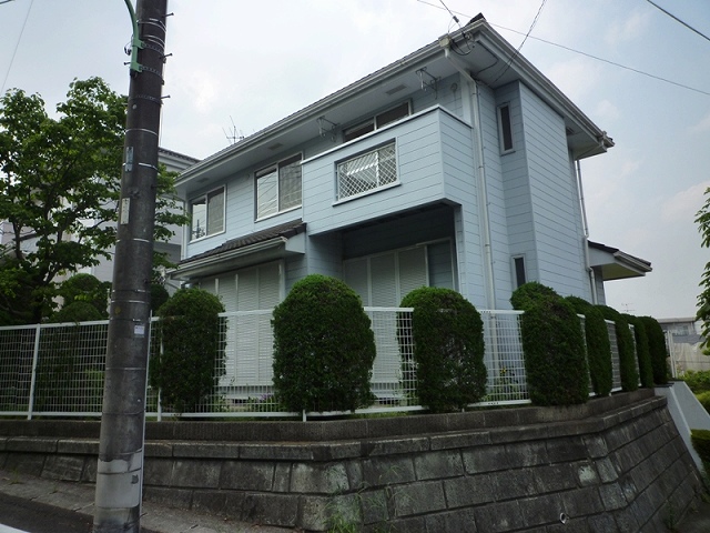 Other. appearance