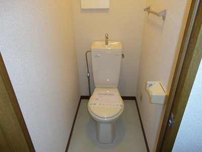 Toilet. Toilet