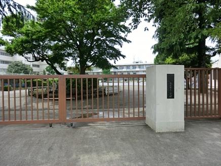 Primary school. Since Tadao is the distance of the third 480m to 480m elementary school to primary school can attend school in peace. 