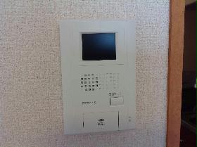 Other. security