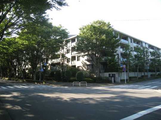 Local appearance photo. Cypress Street, Appearance from maple street angle