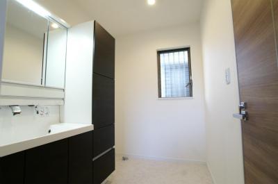 Wash basin, toilet. Indoor (12 May 2013) Shooting