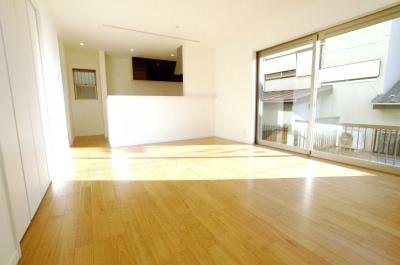 Living. Indoor (12 May 2013) Shooting