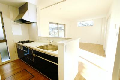 Kitchen. Indoor (12 May 2013) Shooting