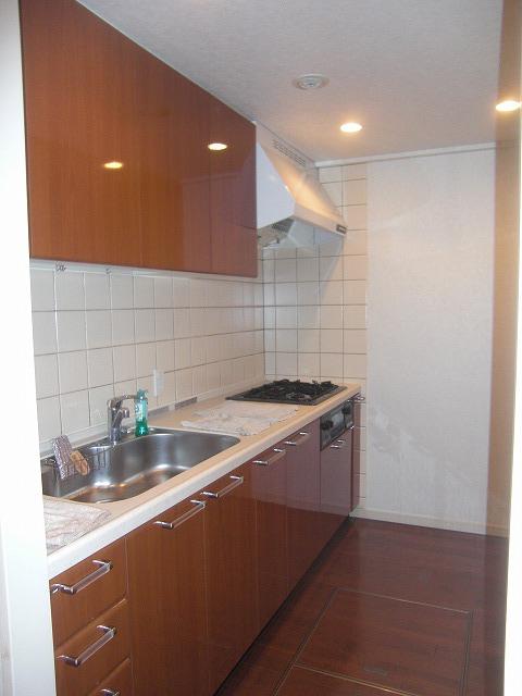 Kitchen. Indoor (11 May 2013) Shooting