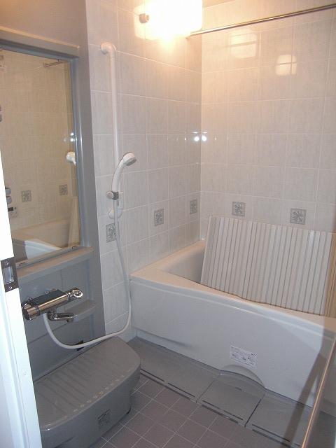 Bathroom. Indoor (11 May 2013) Shooting