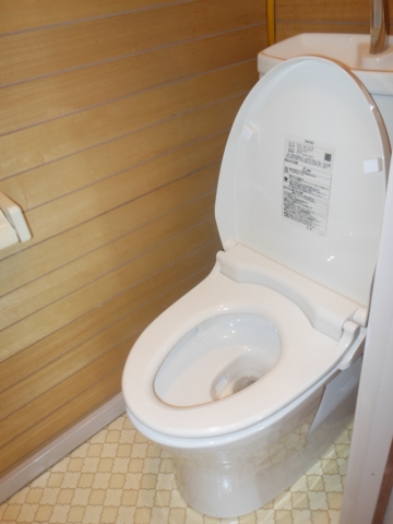 Toilet