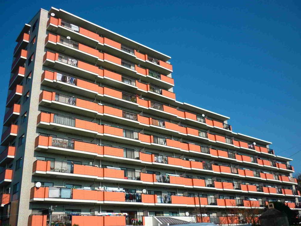 Local appearance photo. Local (11 May 2013) Shooting