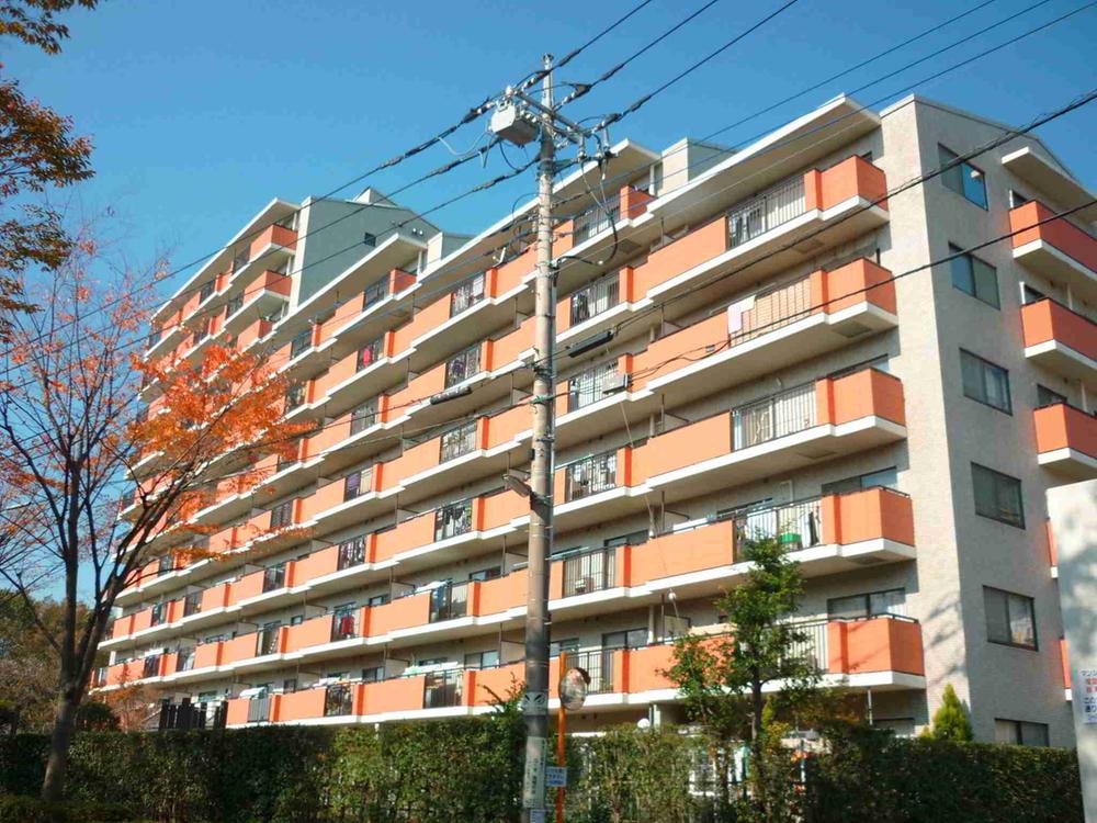 Local appearance photo. Local (11 May 2013) Shooting