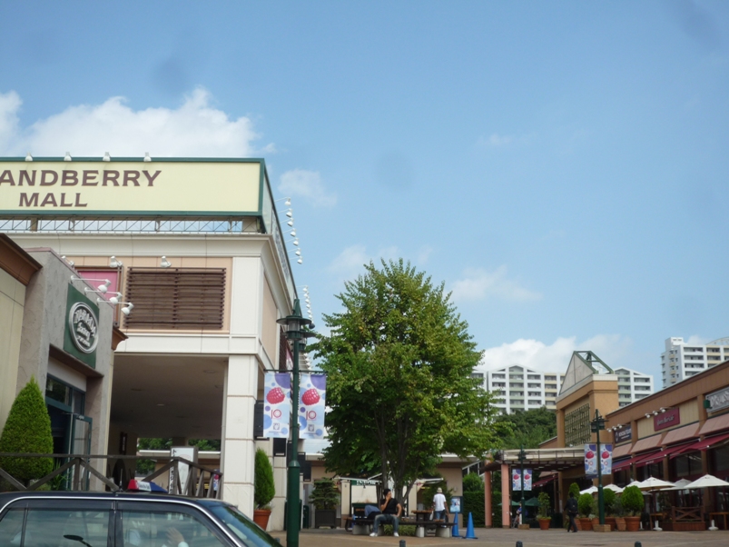 Shopping centre. Granbury Mall About 1600m until the (shopping center) 1600m