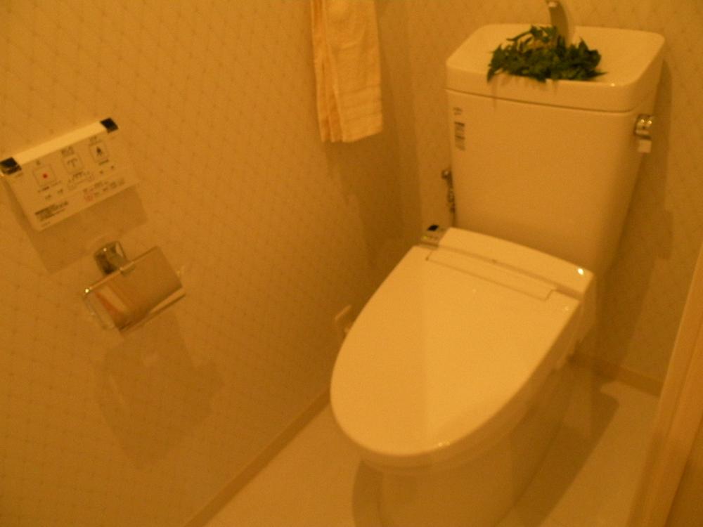 Toilet