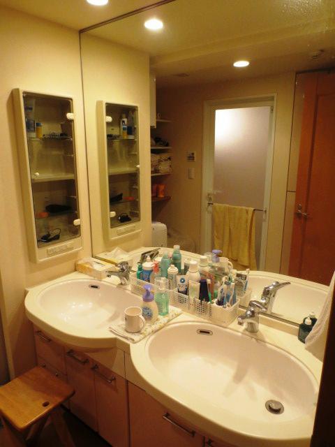 Wash basin, toilet. Hotel is a wash basin-like double ball.