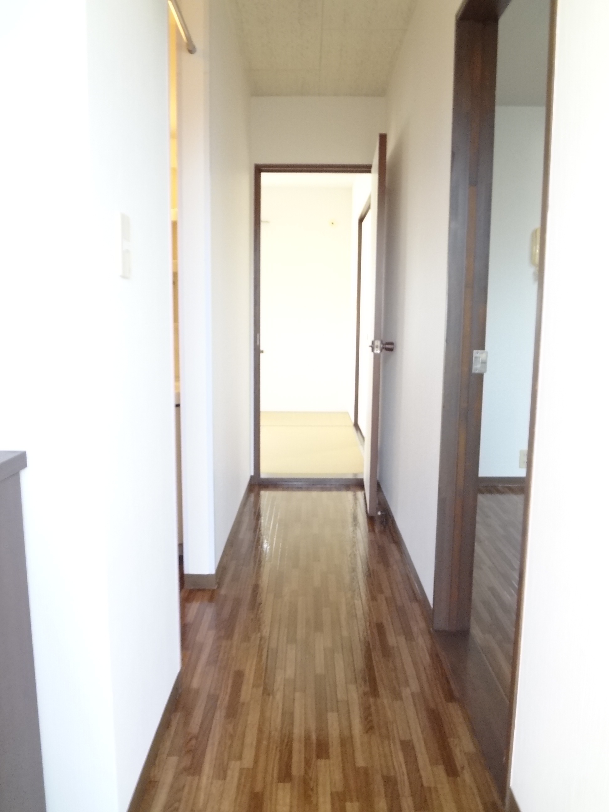 Entrance. Corridor