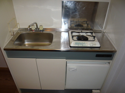 Kitchen. Because the gas stove equipped, Stove of unnecessary purchase.
