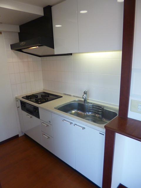 Kitchen. 3-burner stove in the kitchen. It is with a water purifier.