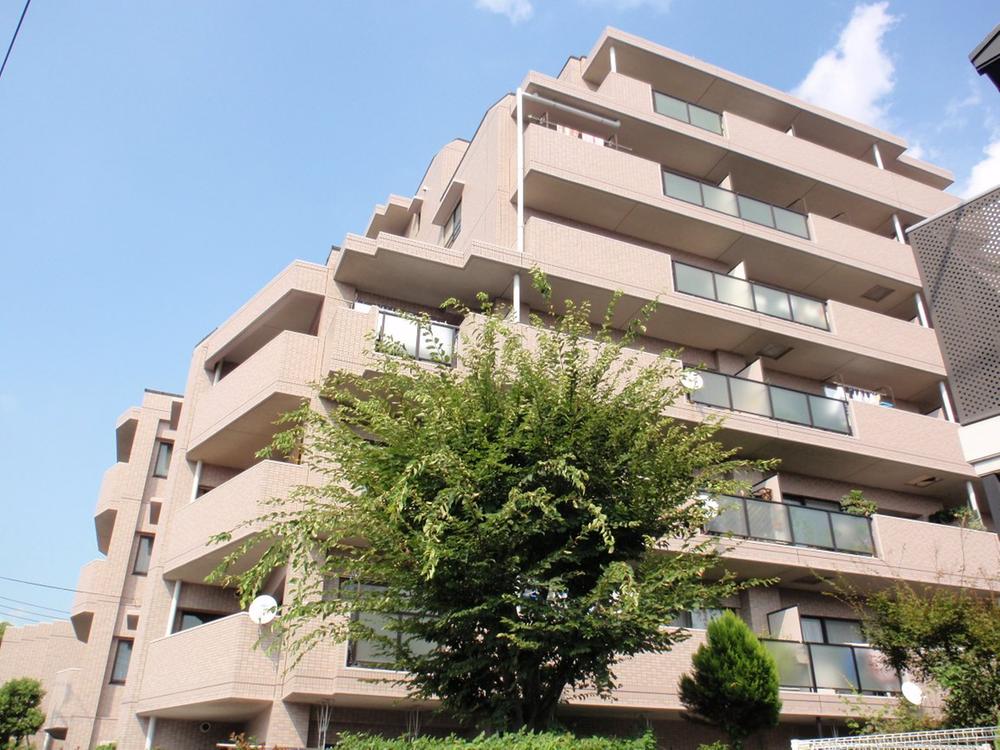 Local appearance photo