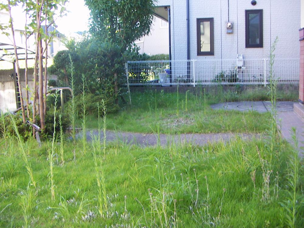 Garden. Local (August 2012) shooting
