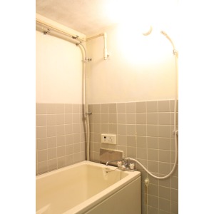 Toilet. Toilet