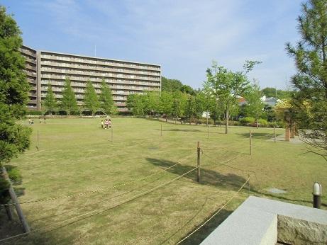 Other common areas. Private garden of auto in the lock