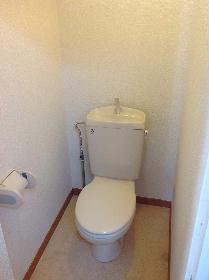 Toilet. Toilet