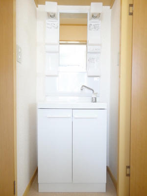Washroom. Busy morning of convenient independent washbasin to get dressed.