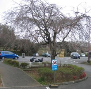 park. 1400m to Nozuta park