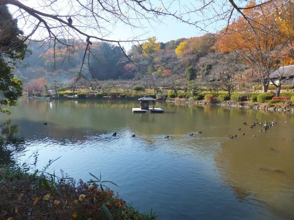 park. Until Yakushi pond park 1100m Yakushi Pond Park