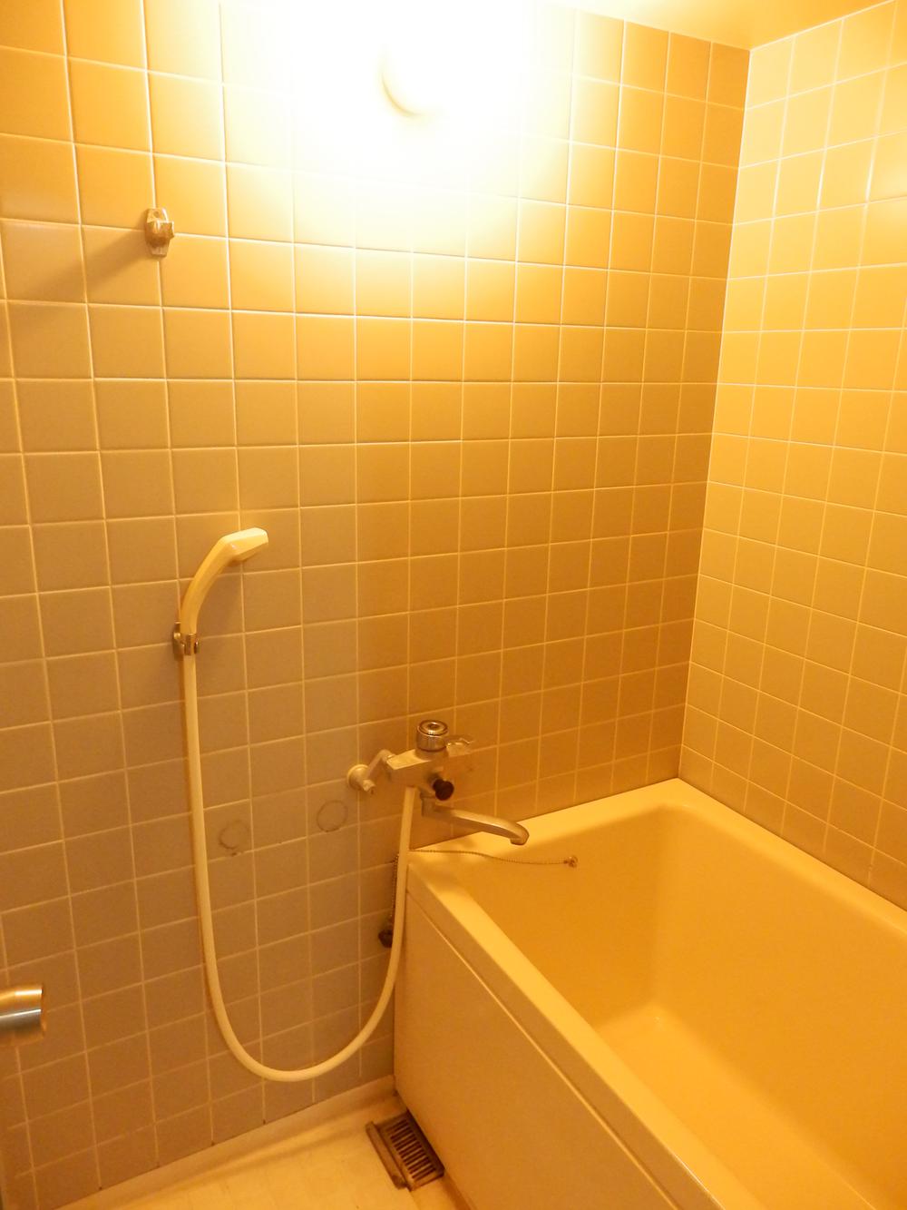 Bathroom. Indoor (12 May 2013) Shooting