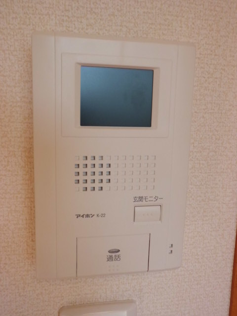 Security. Monitor with intercom