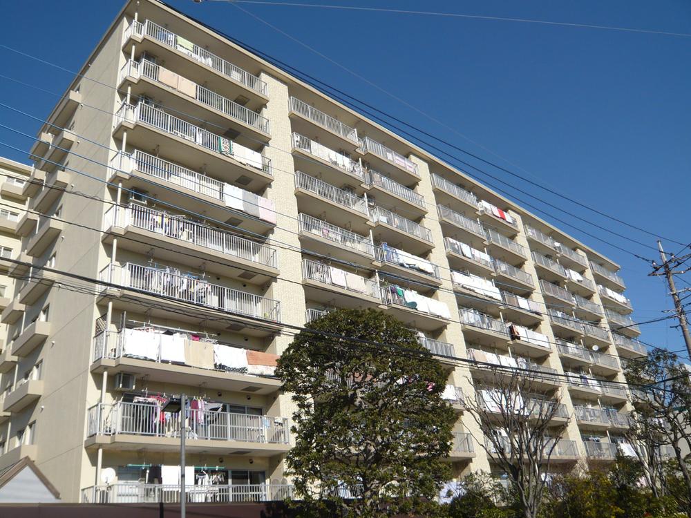 Local appearance photo. Local (12 May 2013) Shooting