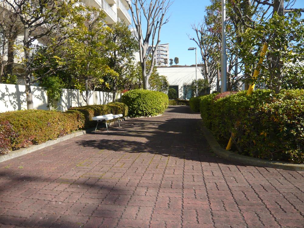 Other local. Local (12 May 2013) Shooting