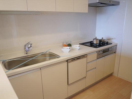 Kitchen. System kitchen new replaced.