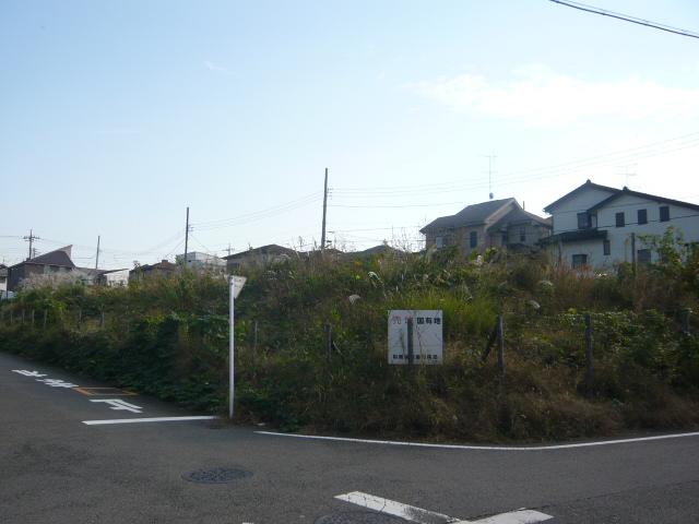 Local photos, including front road. Local (10 May 2013) Shooting