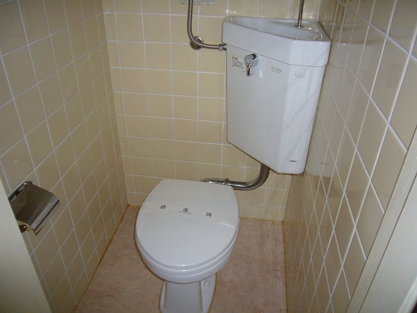 Toilet. Clean toilet tiled
