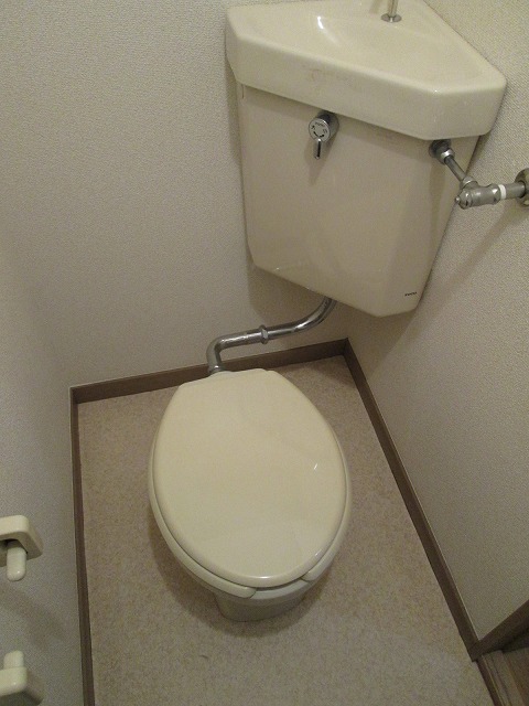 Toilet. Same property separate room