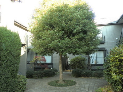 Other. Entrance