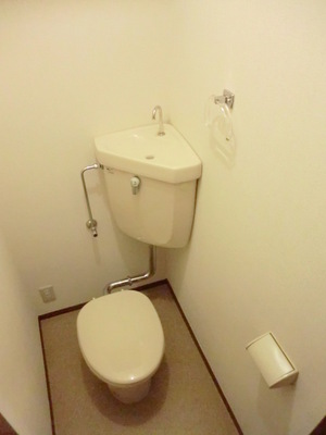 Toilet. It is a beautiful toilet