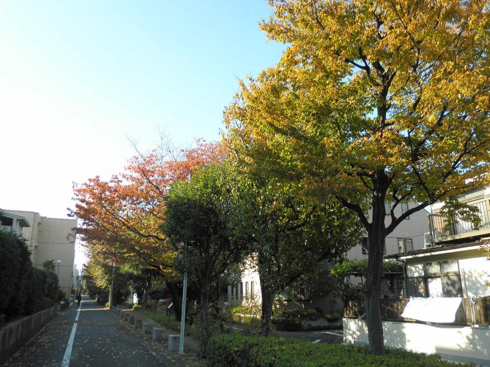 Streets around. Surrounding environment: 呑川 Kakinokizaka tributary green road