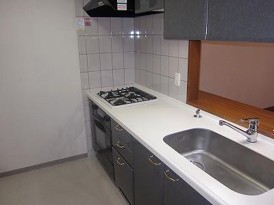 Kitchen. Interior