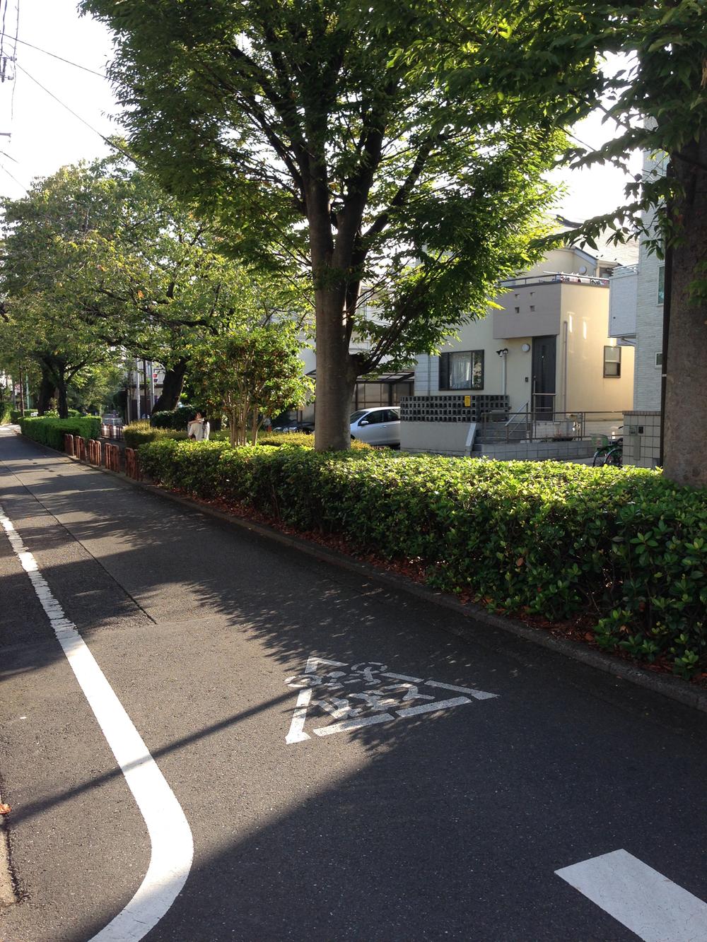 Local photos, including front road. 呑川 is the side of the green road! 