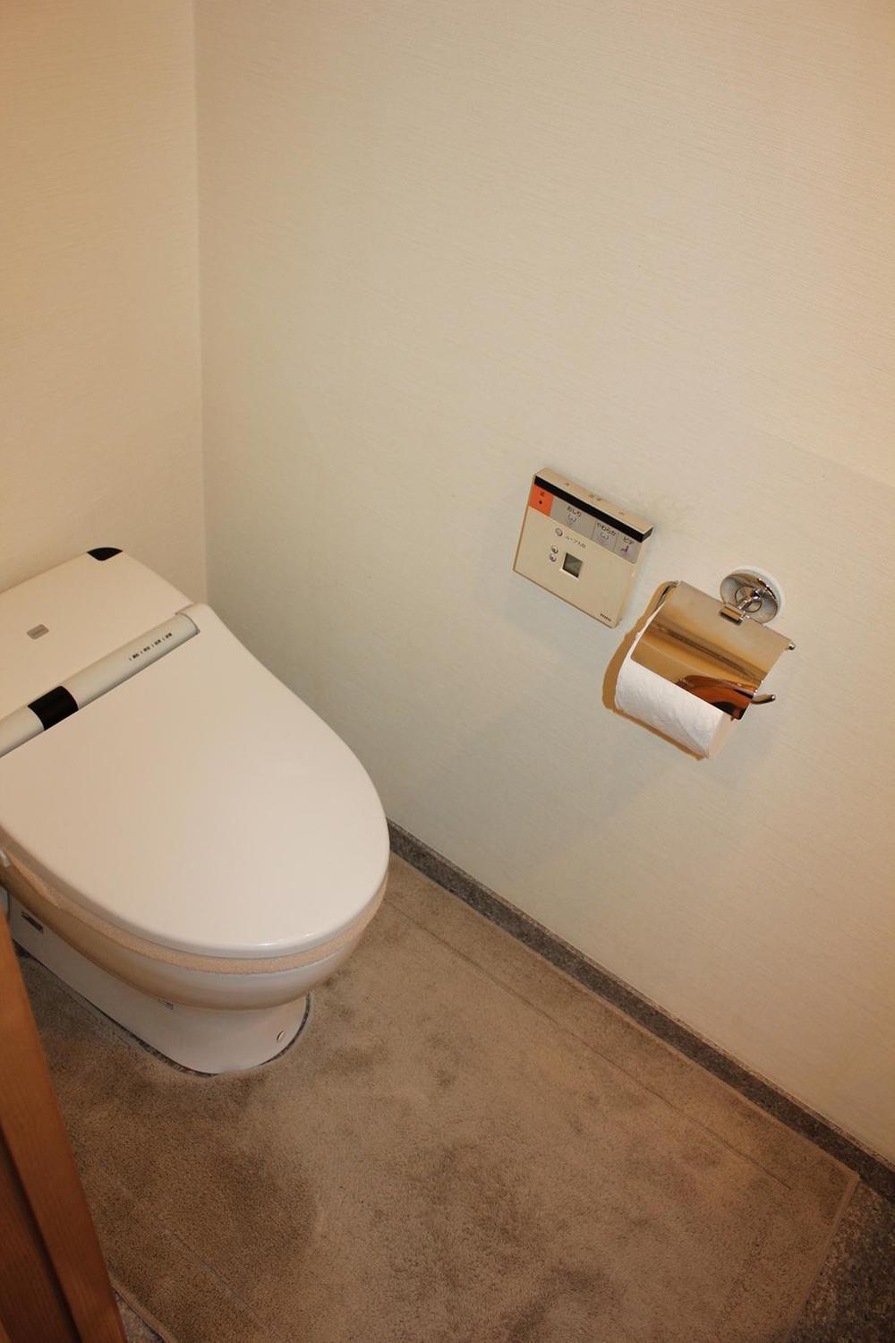 Toilet. Restroom (September 2013) Shooting