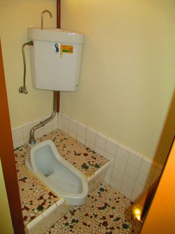 Toilet