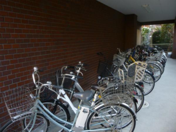Parking lot. Bicycle-parking space