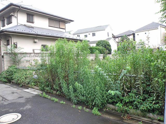 Local land photo