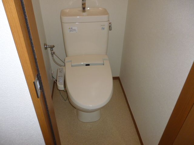 Toilet. Reference photograph