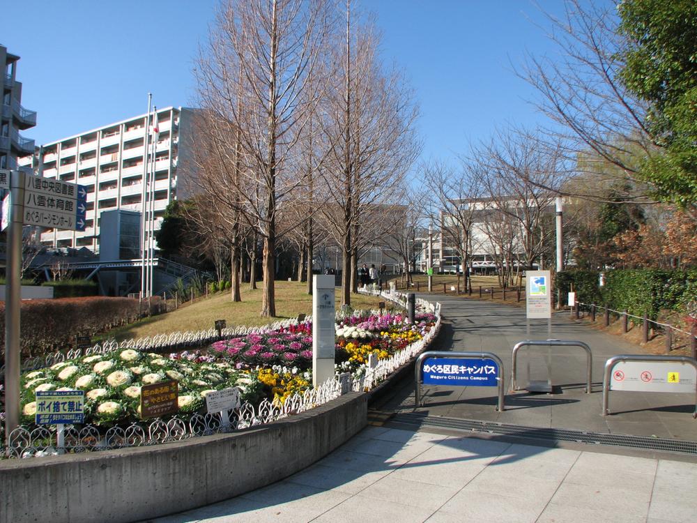 Other. Neighborhood "Meguro Persimmon Hall"