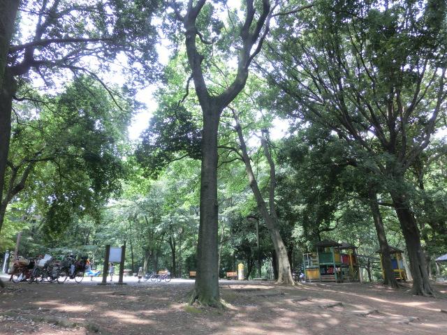 park. 750m to the forest of Hayashi試