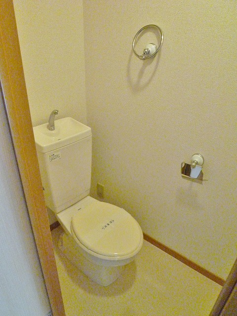 Other. Toilet