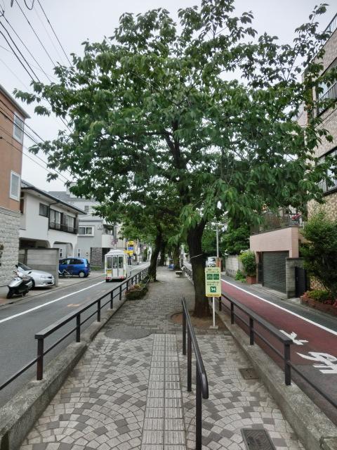 Streets around. 60m to Tachiaigawa green road