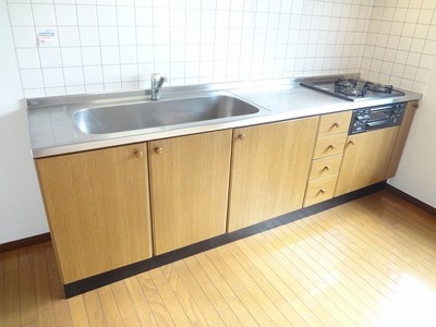 Kitchen. System kitchen (gas stove with a three-necked grill)